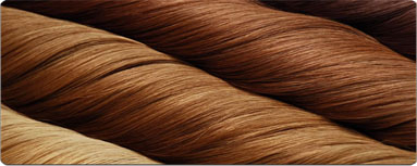 Bangkok hair Extensions Bangkok hair Extensions